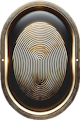 Fingerprint Icon